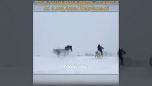 "ГОД ЛОШАДКИ В ДВЕРЬ СТУЧИТ!" сл. и муз.Анн Желудковой.mp4