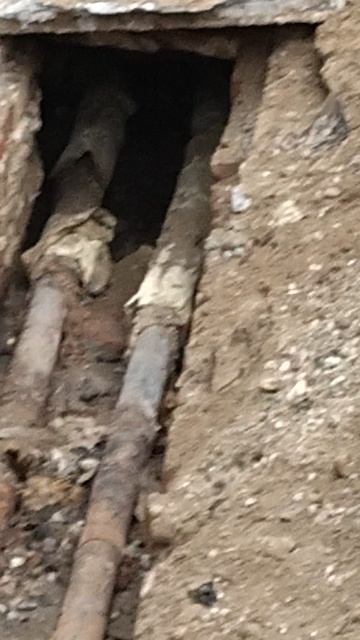 №313. Двор П. Осипенко 48. 8 апреля 2025 г., 12:41:02. VID_20250408_123853724