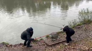 Онлайн.Вываживает и складывает ))