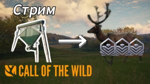 Фарм бриллиантов. Проверяем теорию в theHunter: Call of the Wild