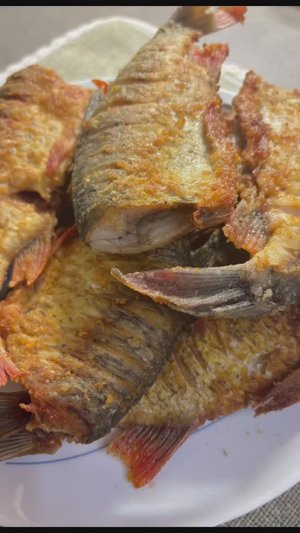 Так вот ты какая, рыбка золотая!