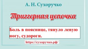 Боль в пояснице, тянуло левую ногу, судороги. Триггерная цепочка профессора Сухоручко А.Н.
