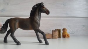 2 раунд канал Arinalife