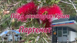 Партенит. Парк санатория Крым. Красота и безобразие рядом.