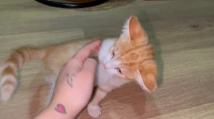 Маленькие сердца ждут своего героя! | Ярус, Янга