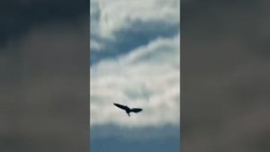 Динар Абдуллин