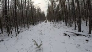 24.10.2025 Мотособака Белка