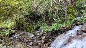 Красная поляна / Эсто садок / Отель Astra de Rosa