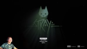 Вселенная Дмитрия: Stray (5) уличный кот