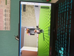 я и мои бешеные друзья...