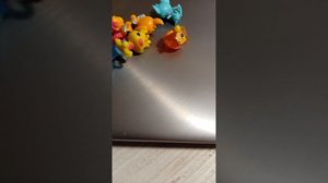 детский сад. Побег тигрёнка.