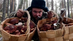 ВЗЯЛ ЕЁ В ЛЕС И НАЧАЛОСЬ. КРАСАВИЦА СОБИРАЕТ БЕЛЫЕ ГРИБЫ. ПОКАЗАЛ ЛЮБИМОЙ ГРИБНОЕ МЕСТО.