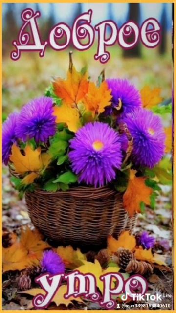 02-11-2025 С добрым утром!🫶 смотреть онлайн