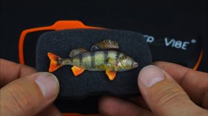 Значок окунь серия “True”