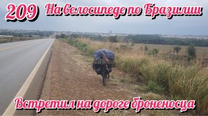 Встретил на дороге броненосца. На велосипеде по Южной Америке. День 209 Бразилия