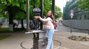 Карусель с котиком!Было написано"Карусель для взрослых и детей,катайтесь сколько влезет"))