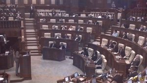 🔴 Luare de cuvânt a deputatei Victoria Belous...