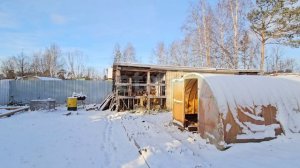 2104881 Кедровый 16