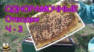 Отводки в 6-ти рамочные улья ППС. Ч-3