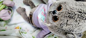 Влог с басиком Эклерем