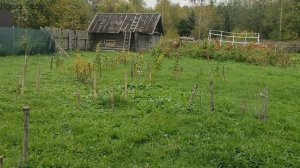 Сентябрь 2026