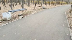 Прогулка по парку/С подругой 🌼