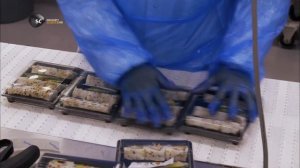 Пищевая фабрика 5 сезон 17 серия (документальный сериал, 2015)