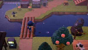 Мохнорукий краб