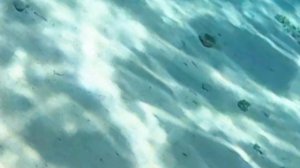 дайвинг в Египте, Дахаб, красное море, октябрь25г