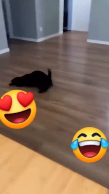 E4A42763-E165-430D-98E2-C428C32A671A