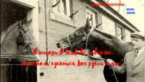 Зощенко -Попалась, которая кусалась -рассказ