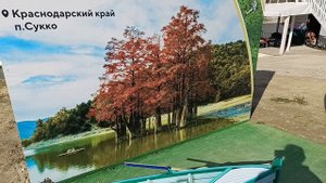 СУККО, КИПАРИСОВОЕ ОЗЕРО.
01.11.2025.