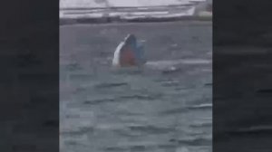 В Турции утонул пассажирский катер.