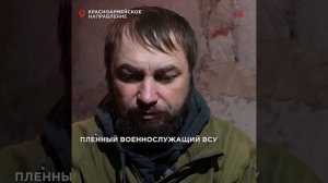 Жалкие и голодные: боевики ВСУ сдаются в плен в окружённом Красноармейске