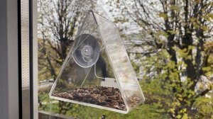 Кормушка для птиц. Обзор и "тест-драйв"