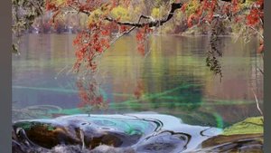 "Холодная весна"