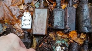 Старые бутылки из болотной жижи