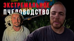 Перевозим пчёл на КОРИАНДР: медосбор 2025