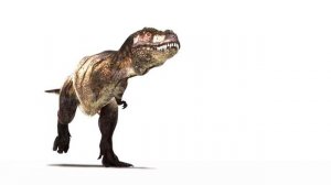 Тираннозавр идёт