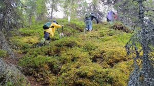 Хибины, озера Гольцовое и Щучье. И море ягод!