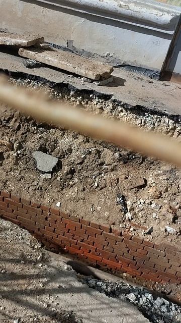 №308. Двор П. Осипенко 48. 5 апреля 2025 г., 15:18:30. VID_20250405_151758175