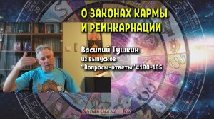 Василий Тушкин - Вопросы-Ответы по теме кармы и реинкарнации (из выпусков #180-185)