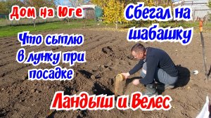 Дом на Юге.  Купил не то, что планировал. Что добавляю в лунку при посадке.