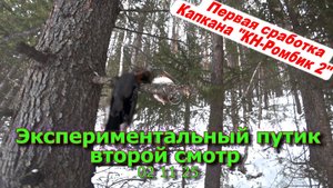 Экспериментальный путик второй смотр 02 11 25