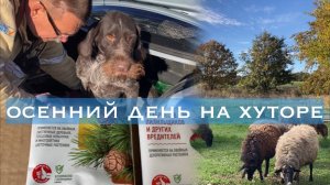 Адыгея/Жизнь на хуторе/Осенние хлопоты/ Обработала туи/Тля не дремлет/ Барашки на выпасе/