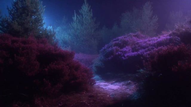 The scent of rain on old streets..