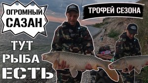 Волжские трофеи и огромные сазаны на донки. Рыбалка на трофейного сазана и закрытие сезона 2025