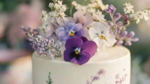 С Днем Рождения Поздравляю