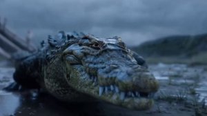 История Пророка Нуха мир ему, основана  на аятах Священного Корана Сура 71 - Nuh .