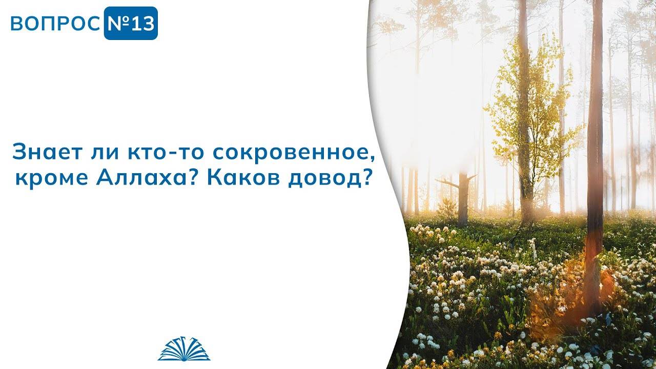 Вопрос № 13. Знает ли кто-то сокровенное, кроме Аллаха? | Абу Яхья Крымский смотреть онлайн